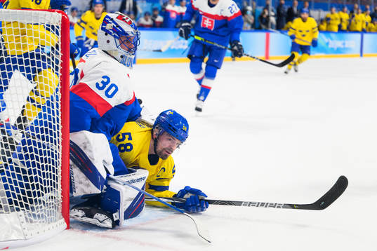 Goaltender Matej Tomek of Slovakia and Anton Lander of