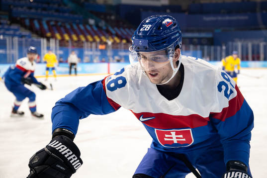 Martin Gernat of Slovakia in an ice hockey preliminary