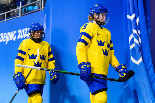 Jessica Adolfsson of Sweden looks dejected in an ice hockey