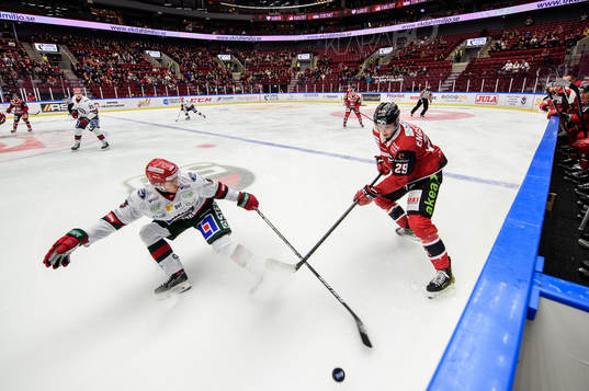 Frölundas Filip Johansson och Malmö Redhawks Eric