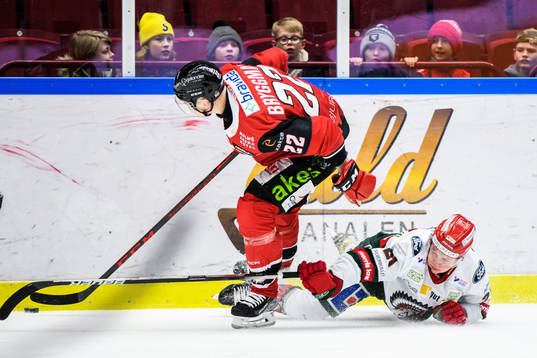 Bläddra bland fler bilder av Ishockey, SHL, Malmö Redhawks - Frölunda