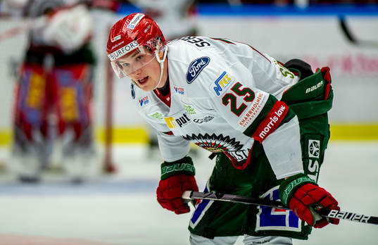 Frölundas Elmer Söderblom deppar