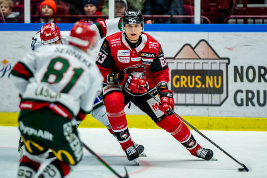 Malmö Redhawks Fredrik Händemark
