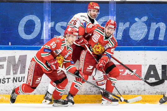 Moras Kalle Miketinac och Moras Albin Grewe och Modos Sam