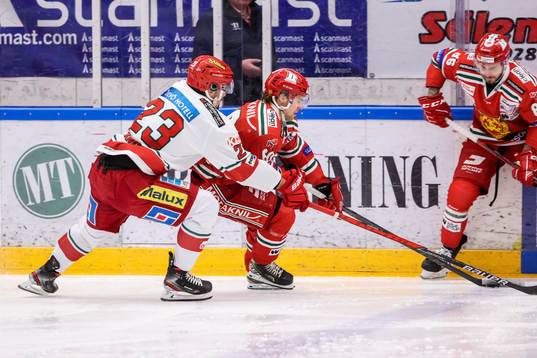 Modos Daniel Sylwanderoch Moras Kalle Miketinac
