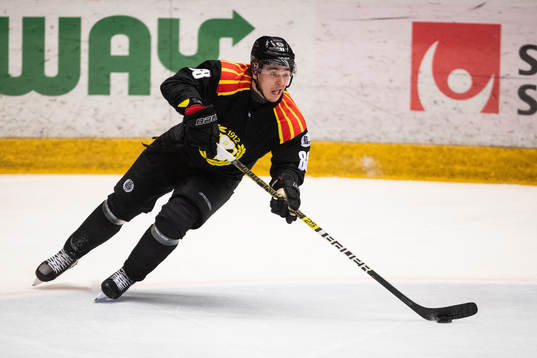 Brynäs Dmytro Timashov