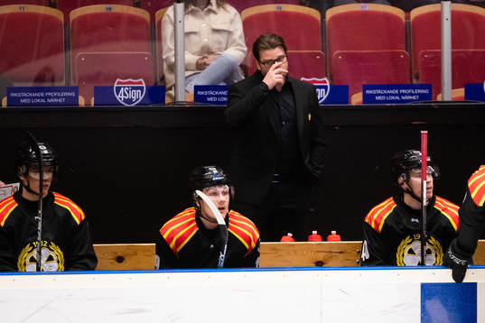 Brynäs assisterande tränare Ove Molin