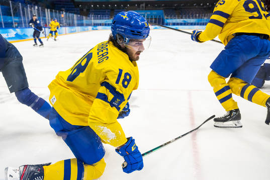 Dennis Everberg of Sweden in an ice hockey preliminary
