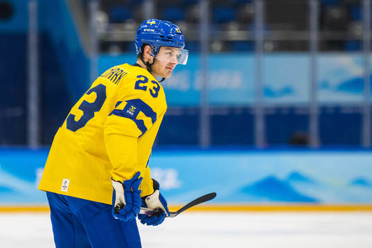 Lucas Wallmark of Sweden in an ice hockey preliminary round