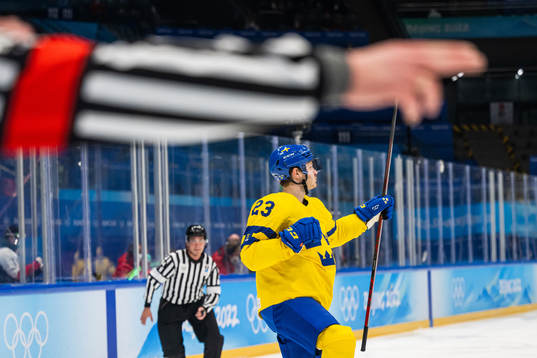 Lucas Wallmark of Sweden celebrates scoring 0-1 in an ice