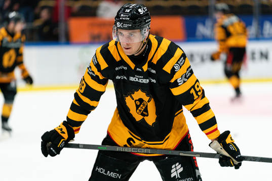 Skellefteås Filip Roos