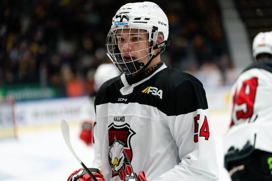 Malmö Redhawks Anton Wahlberg