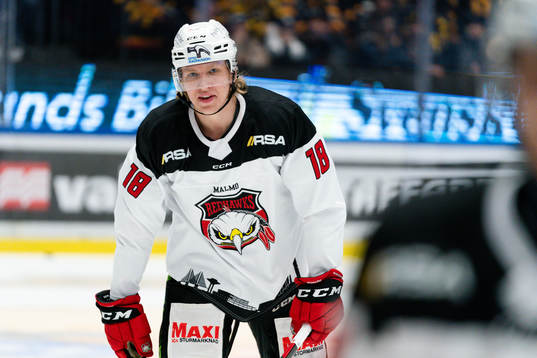 Malmö Redhawks Marcus Sylvegård
