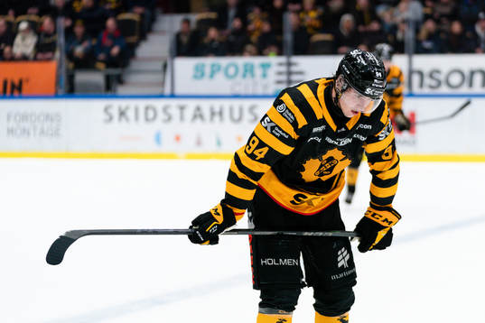 Skellefteås Linus Karlsson deppar