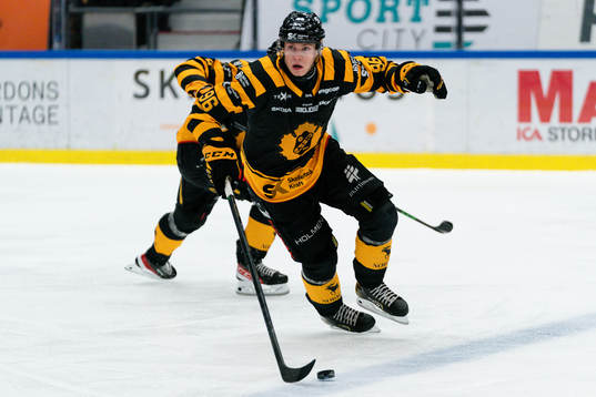 Skellefteås Rickard Hugg