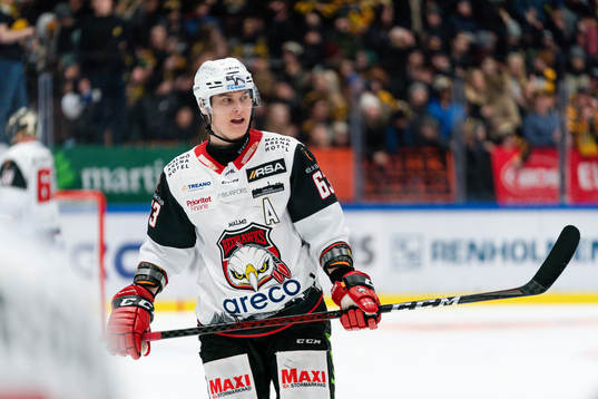 Malmö Redhawks Fredrik Händemark deppar