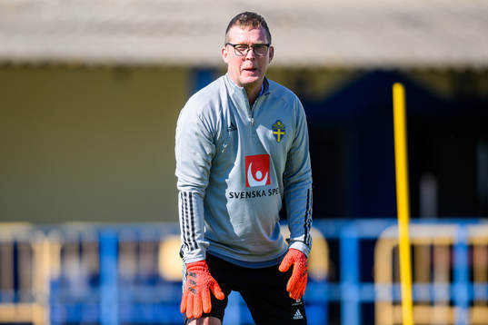 Leif Troedsson, goalkeeper coach