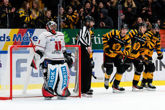 Skellefteås Albin Sundsvik jublar