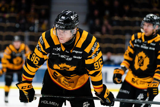 Skellefteås Rickard Hugg deppar