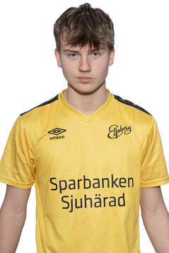 Emilio Ulvholm Scarpelli