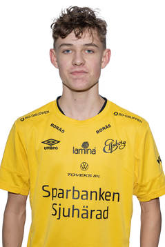 Viggo Lidberg