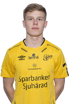 Gottfrid Rapp