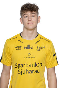 Viktor Nylén