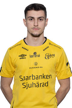Hari Bajrektarevic
