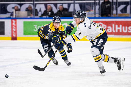s Daniel Bertov och Södertäljes Daniel Ljungman