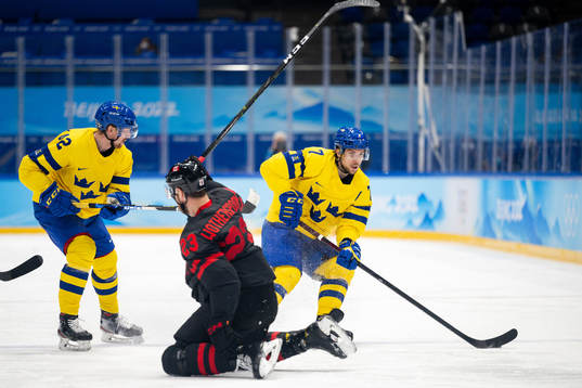 Joakim Nordström and Henrik Tömmernes of Sweden against