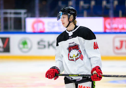 Malmö Redhawks Marcus Broberg