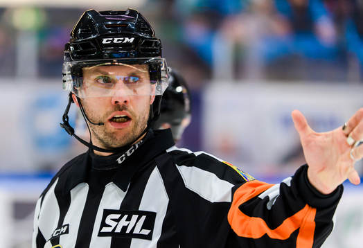 Domare Johan Magnusson