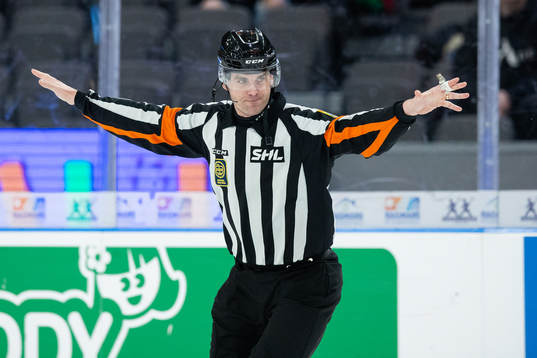 Domare Richard Magnusson dömer bort mål för Frölunda