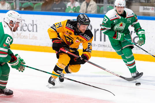 Luleås Brendan Shinnimin