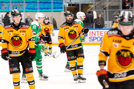 Luleås Linus Fröberg deppar