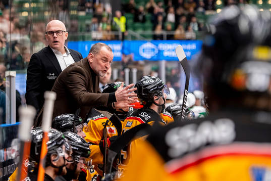 Luleås tränare Thomas Berglund