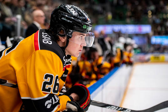Luleås Radek Muzik