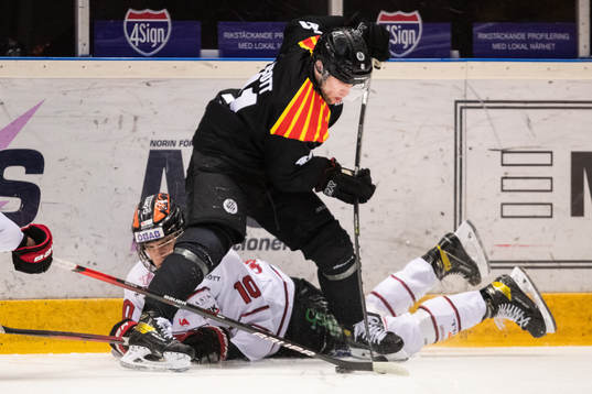 Brynäs Greg Scott och Örebros Leo Carlsson