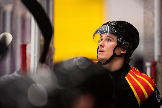 Brynäs Dmytro Timashov