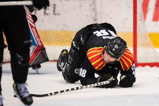 Brynäs Anton Rödin