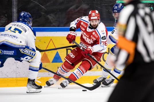 Timrås Robin Hanzl
