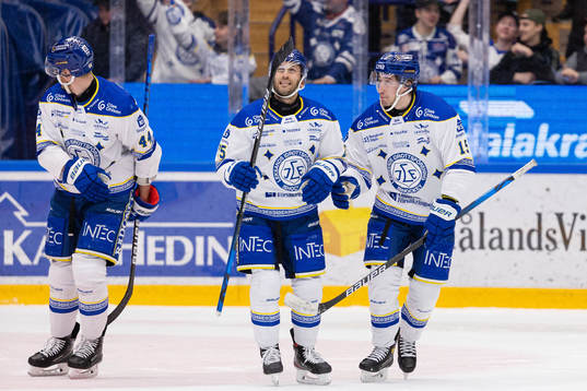 Leksands Carter Ashton, Carter Camper och Max Veronneau