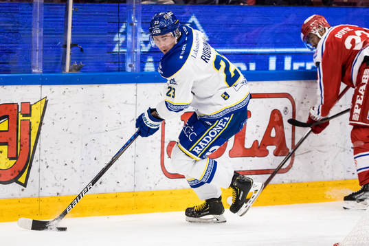 Leksands Mikael Ruohomaa