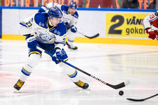 Leksands Mikael Ruohomaa