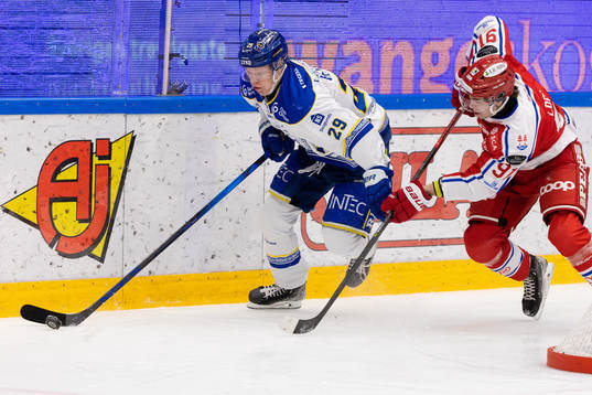 Leksands Emil Heineman och Timrås Viktor Lodin