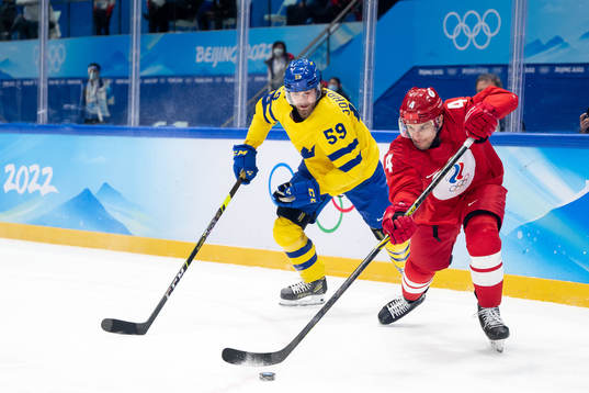 Linus Johansson of Sweden and Alexander Yelesin of Russia