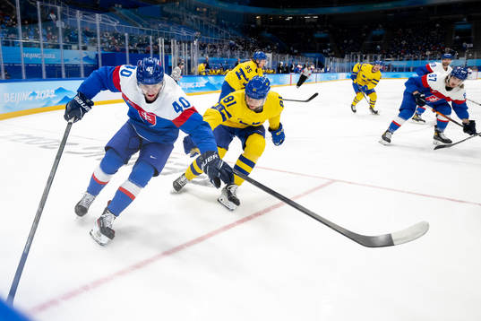 Milos Roman of Slovakia and Theodor Lennström of Sweden in