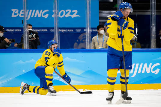 Lucas Wallmark and Joakim Nordström look dejected