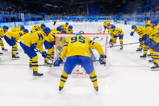 The players of Sweden