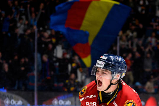Bläddra bland fler bilder av Ishockey, SHL, Djurgården - Linköping
